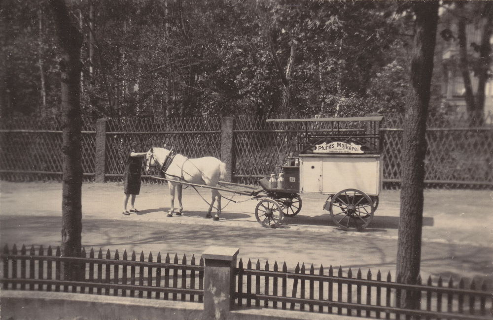 Arno-Holz-Allee (Kaiser-Wilhelm-Allee)  Dresden