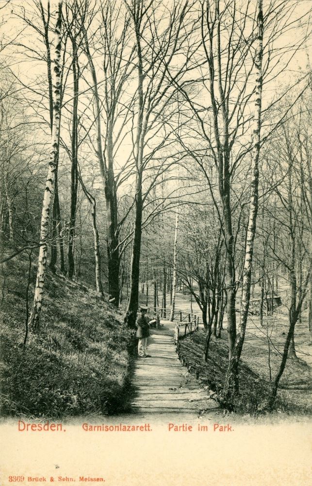 Prie&szlig;nitzgrund  Dresden