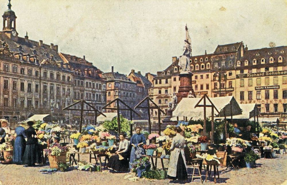 Altmarkt - Blumenmarkt  Dresden