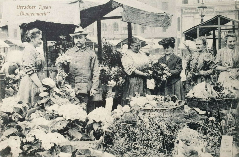 Altmarkt - Blumenmarkt  Dresden