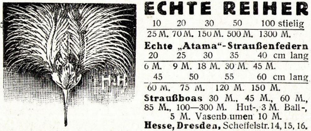 Scheffelstra&szlig;e 14,16  Dresden