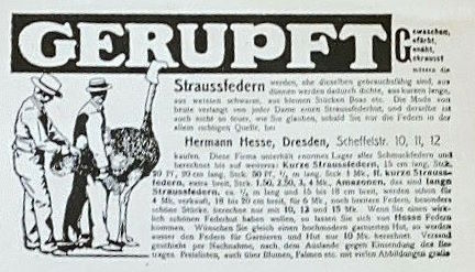 Scheffelstraße 10 (-1889 Scheffelstraße 32) Dresden Scheffelstraße 10 (-1889 Scheffelstraße 32) Dresden