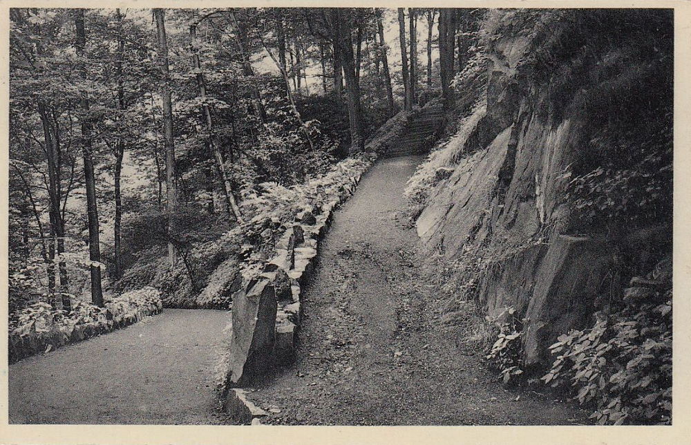 Coselweg 3  Dresden