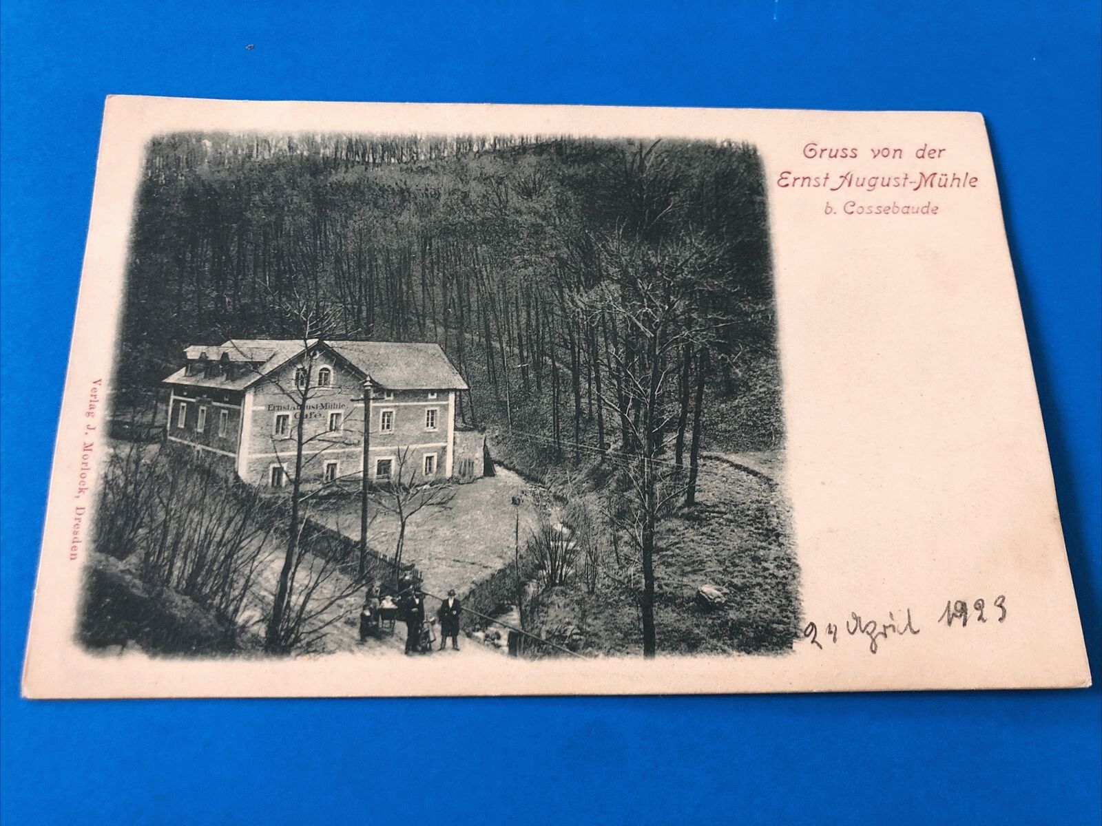 Lotzebachstraße 31 Dresden Lotzebachstraße 31 Dresden