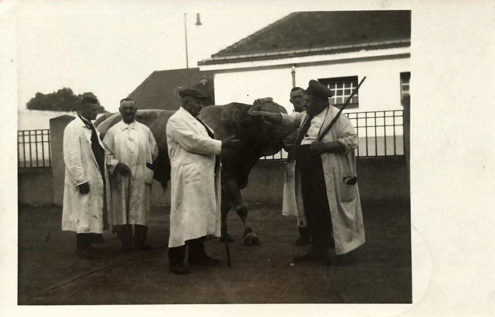 Messering (Schlachthofring) Dresden Messering (Schlachthofring) Dresden