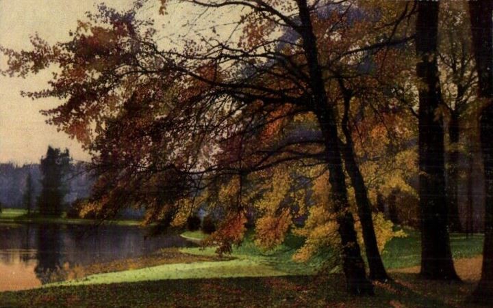 Gro&szlig;er Garten  Dresden