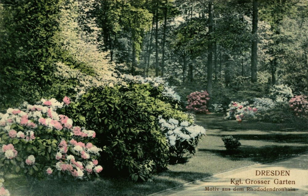 altesdresden.de - Groer Garten, Dresden