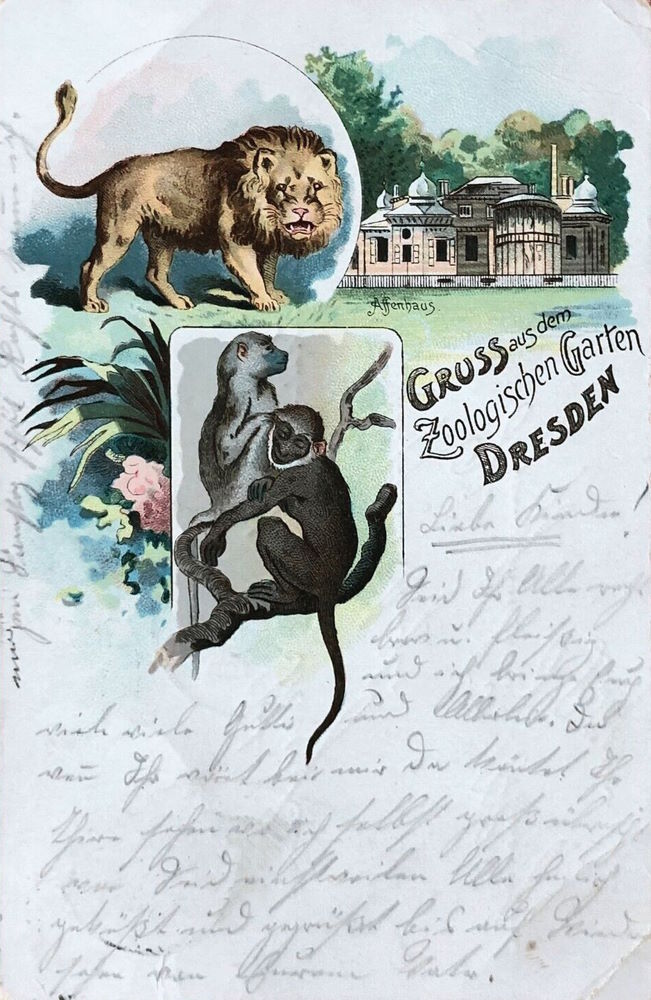 Zoologischer Garten  Dresden