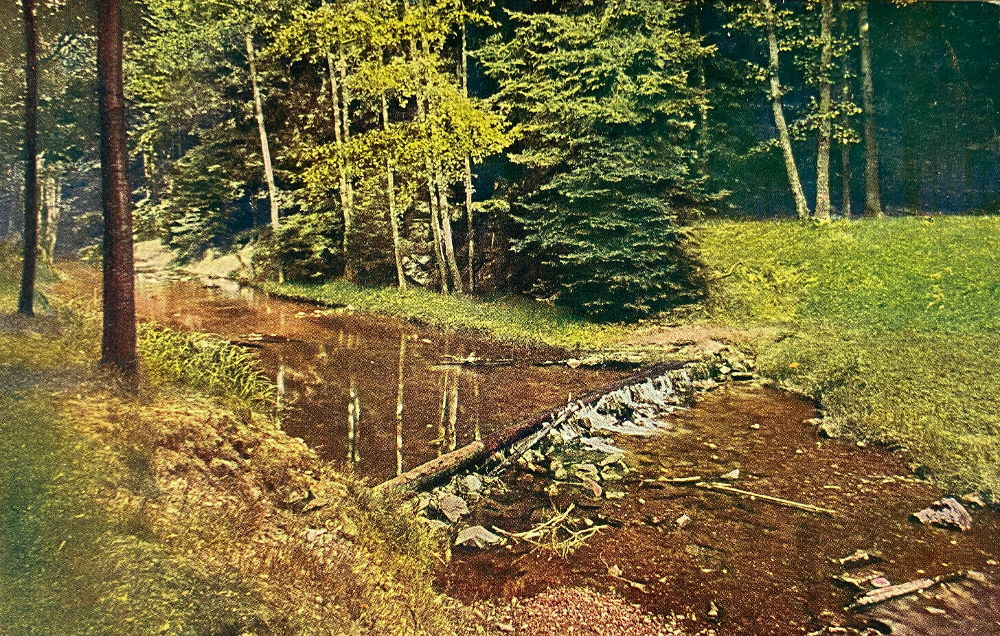 Lynchschlucht  Dresden