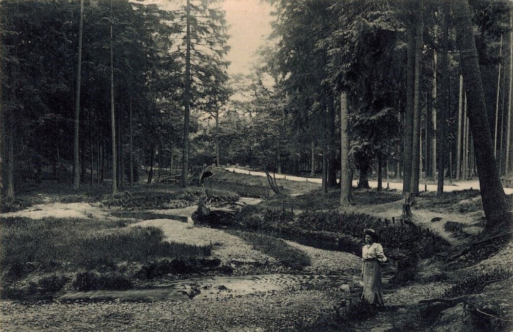 Prie&szlig;nitzgrund  Dresden