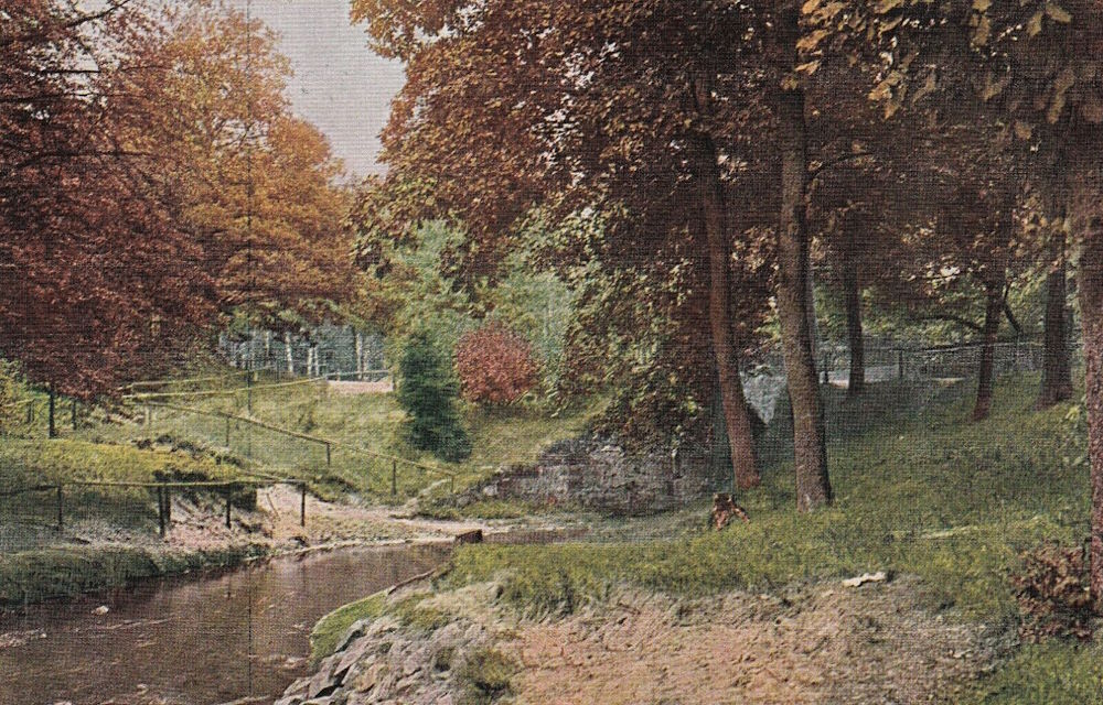 Prießnitzgrund  Dresden
