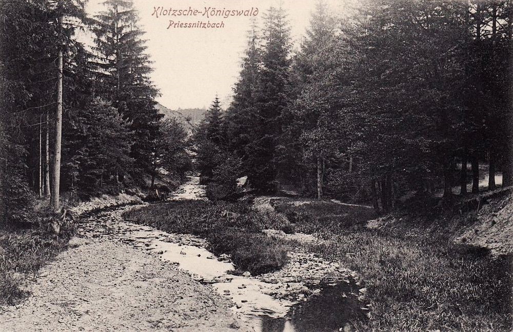 Prie&szlig;nitzgrund  Dresden