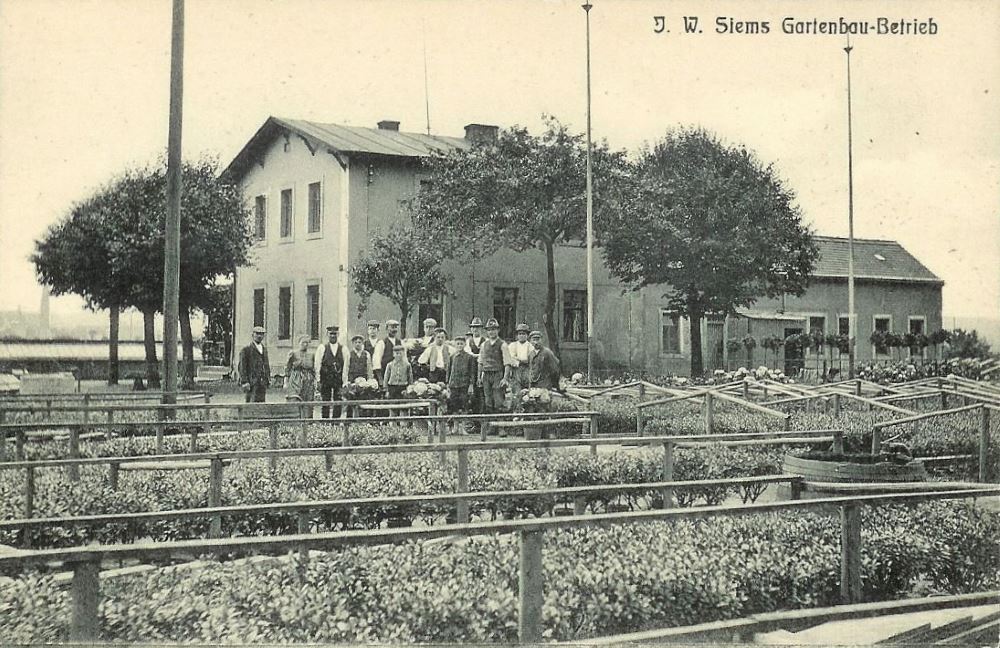 Laibacher Straße 14 (Florastraße 2, Florastraße 14)  Dresden