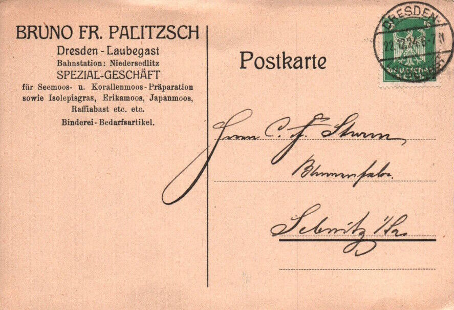 Salzburger Straße 4 (Dobritzer Straße 4)  Dresden