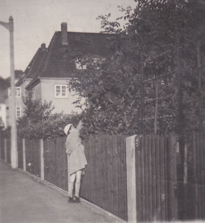 Oberauer Stra&szlig;e 2 / Niederauer Stra&szlig;e  Dresden