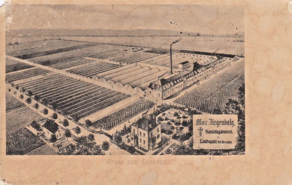 Leubener Straße 96 (Laubegaster Straße)  Dresden