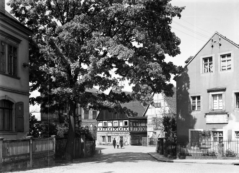 Friedrich-Wieck-Straße 12  Dresden