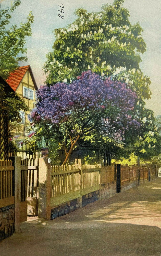 Grundstra&szlig;e 6  Dresden