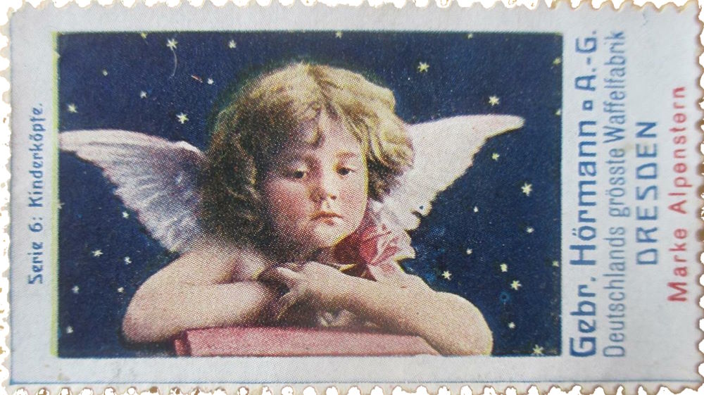 Sternstraße 35 Dresden Sternstraße 35 Dresden