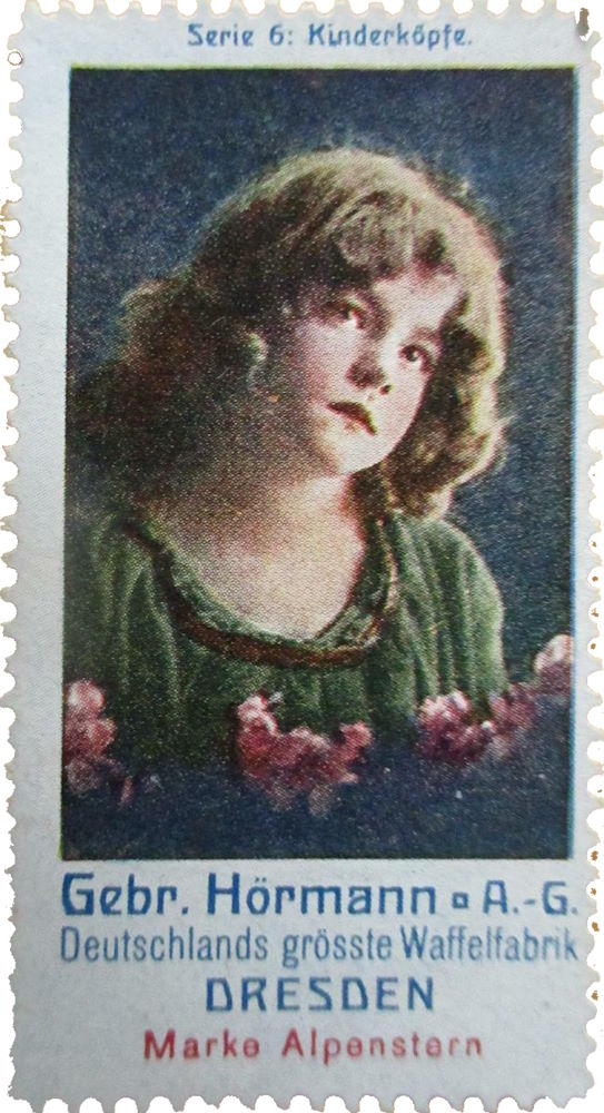 Sternstraße 35 Dresden Sternstraße 35 Dresden