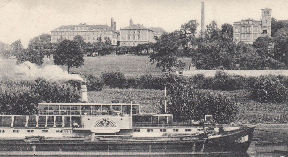 Elbe  Dresden