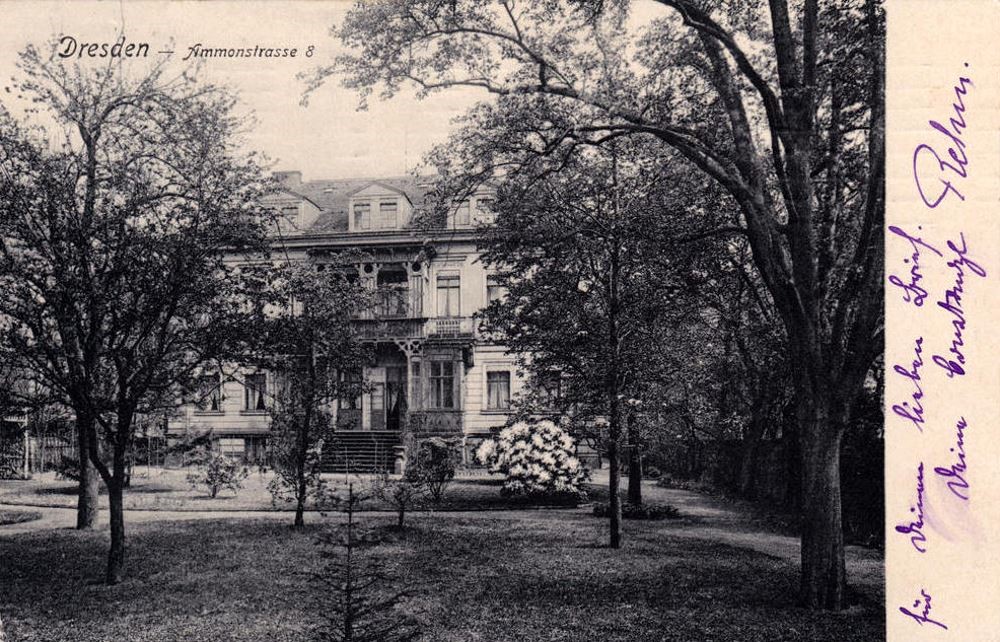 Ammonstra&szlig;e 8  Dresden