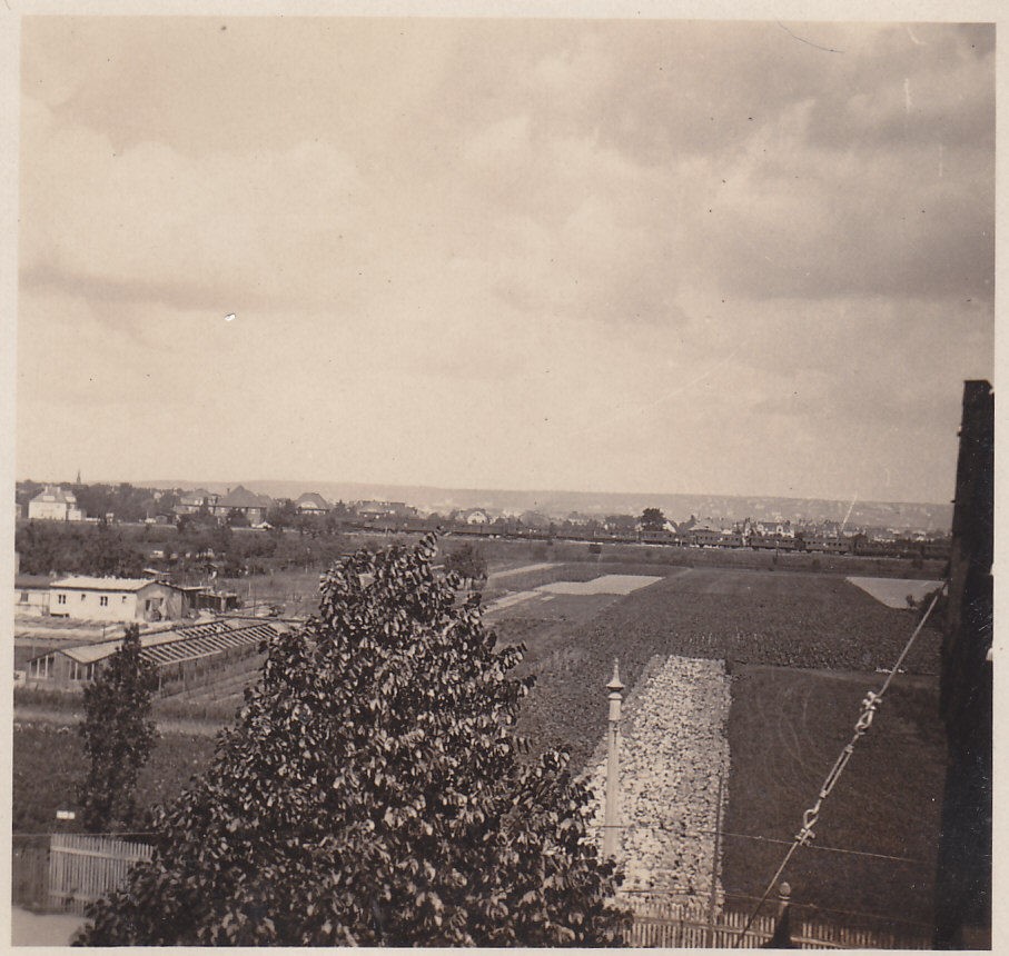 Reicker Straße  Dresden