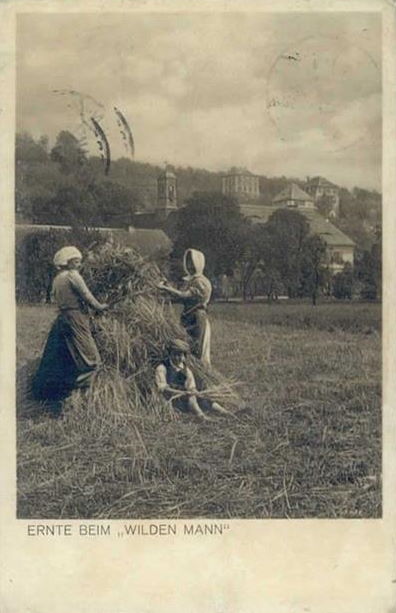 Döbelner Straße 110 Dresden Döbelner Straße 110 Dresden