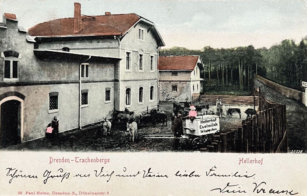 Hellerhofstraße 17 (Radeberger Straße 17) Dresden Hellerhofstraße 17 (Radeberger Straße 17) Dresden