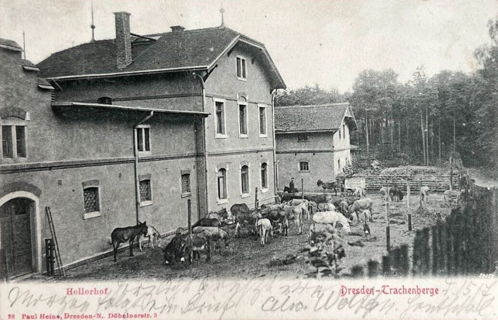 Hellerhofstraße 17 (Radeberger Straße 17) Dresden Hellerhofstraße 17 (Radeberger Straße 17) Dresden