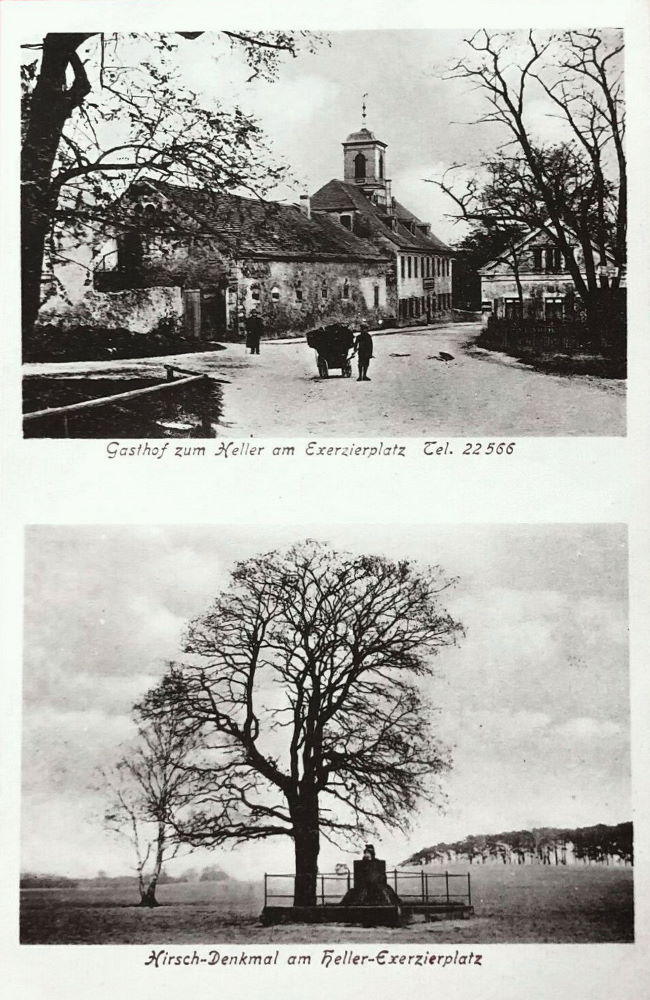 Radeburger Stra&szlig;e  Dresden